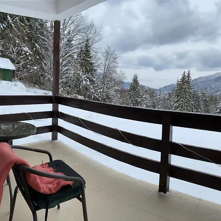 Mountain View Apartment Predeal
