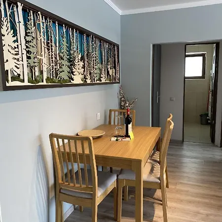 Apartment Mountain View Predeal