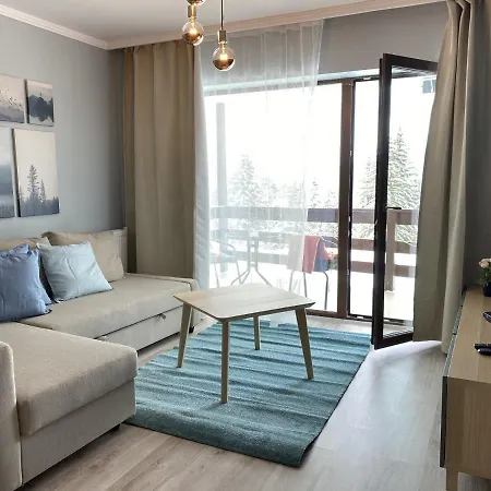 Apartment Mountain View Predeal