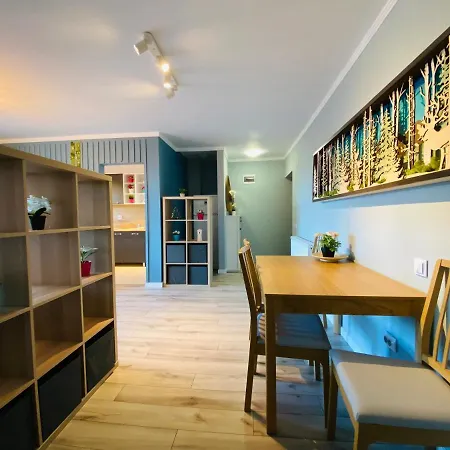 Mountain View Apartment Predeal