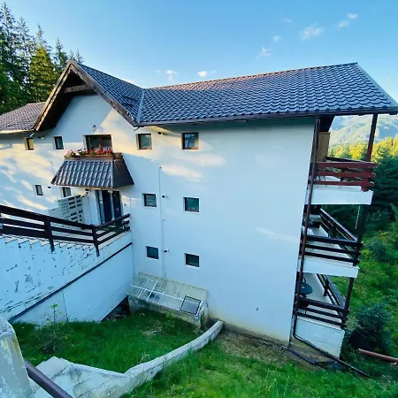 Apartment Mountain View Predeal