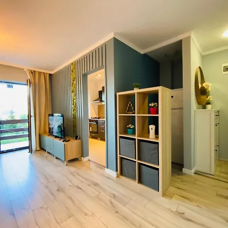 Mountain View Apartment Predeal