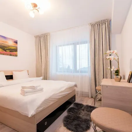 Mountain View Apartment Predeal